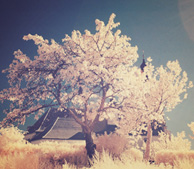 ddos流量攻击购买